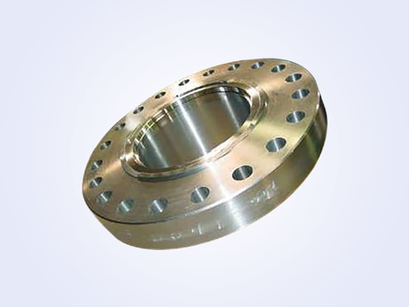 Welding Neck Flange - 带颈对焊法兰 (4)