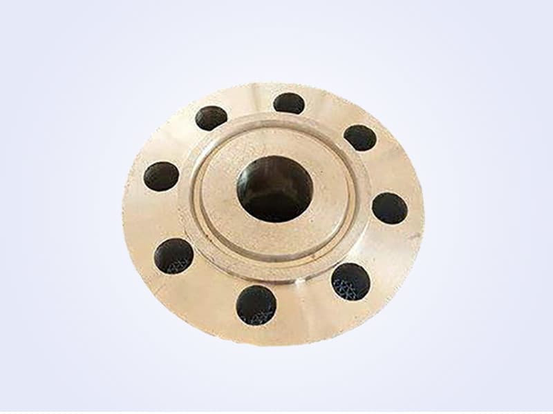 Welding Neck Flange - 带颈对焊法兰 (8)